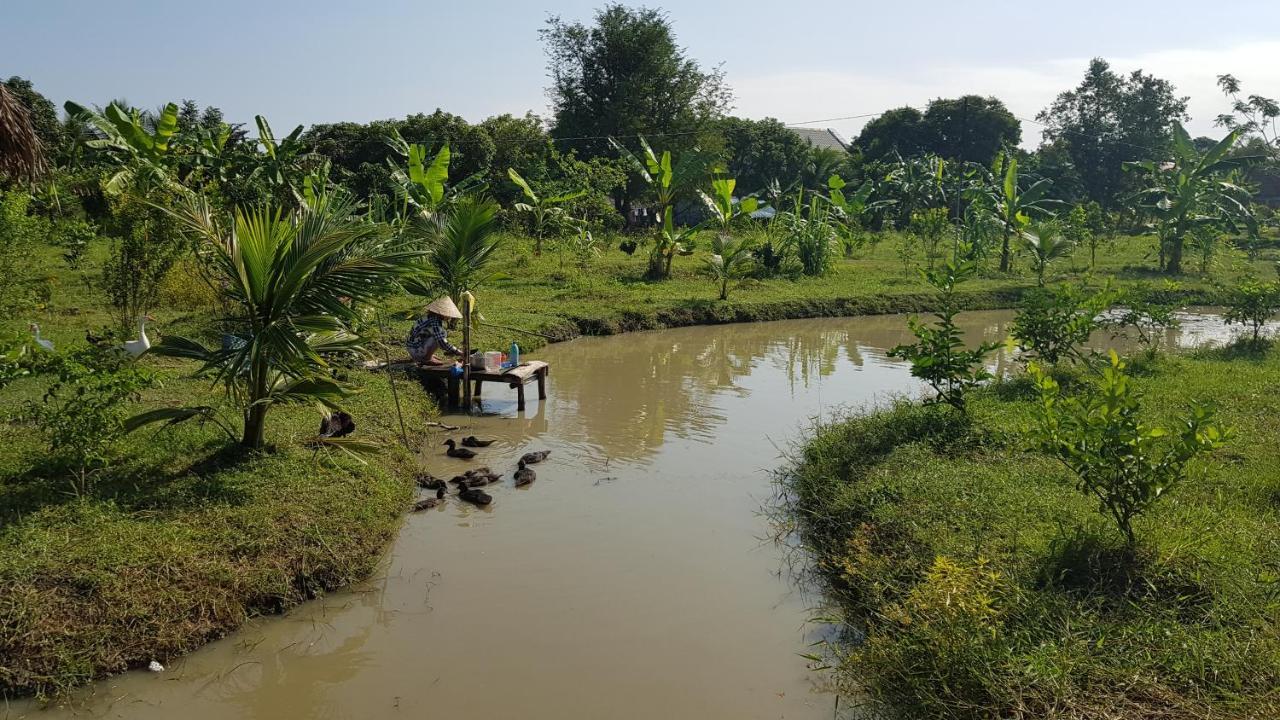 Mekong Delta Ricefield Lodge Can Tho Exteriér fotografie