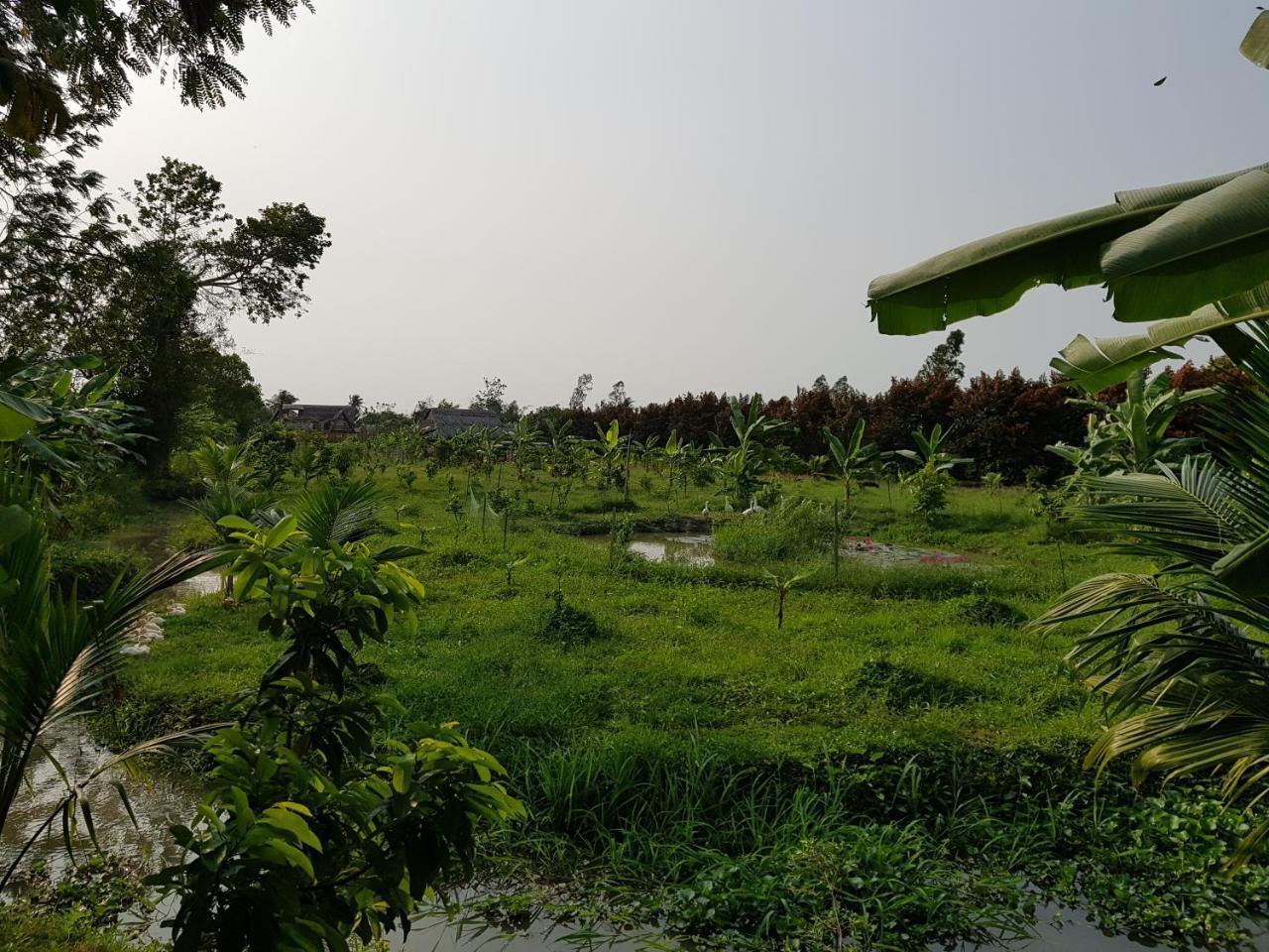 Mekong Delta Ricefield Lodge Can Tho Exteriér fotografie